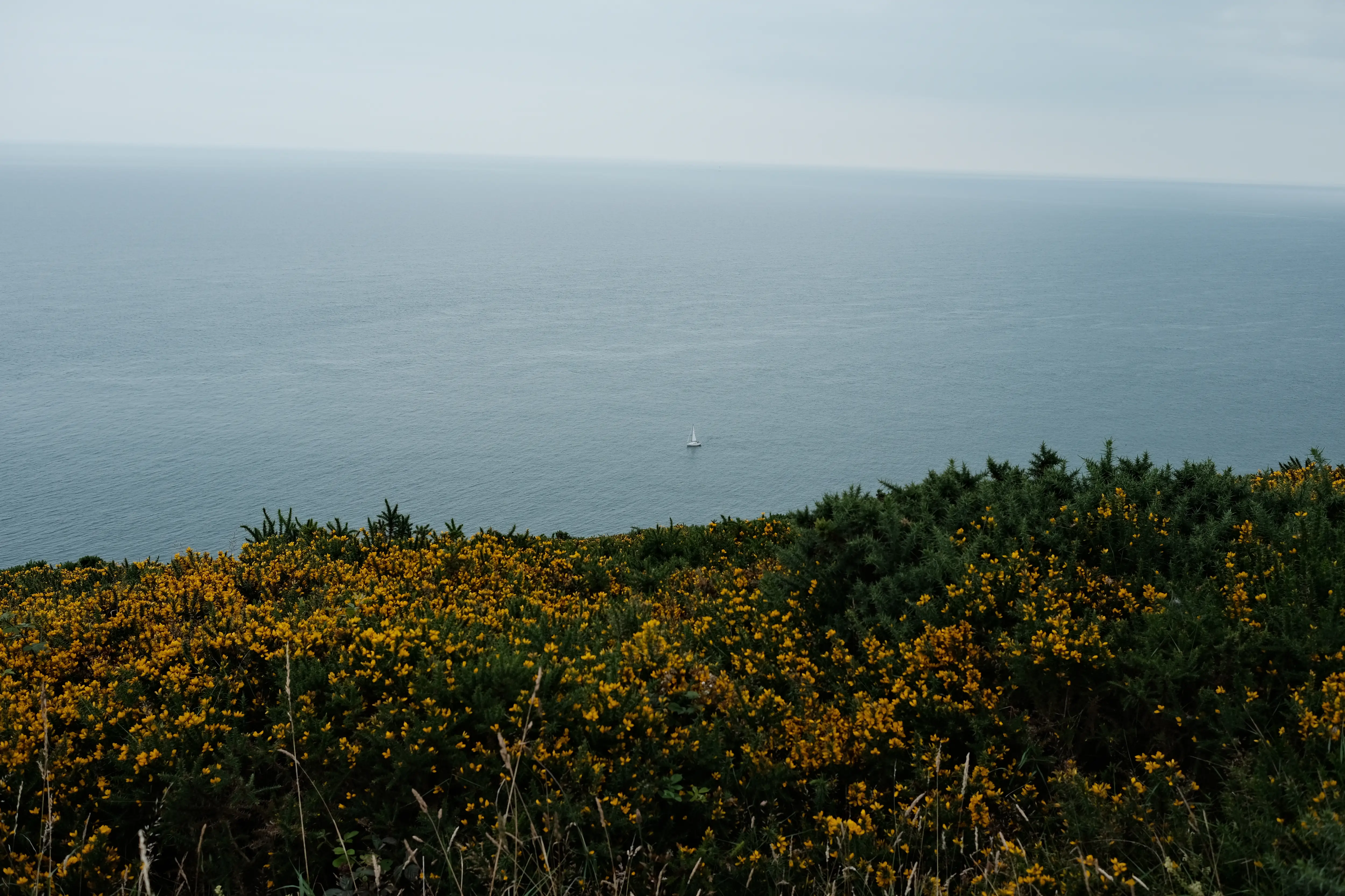 Howth